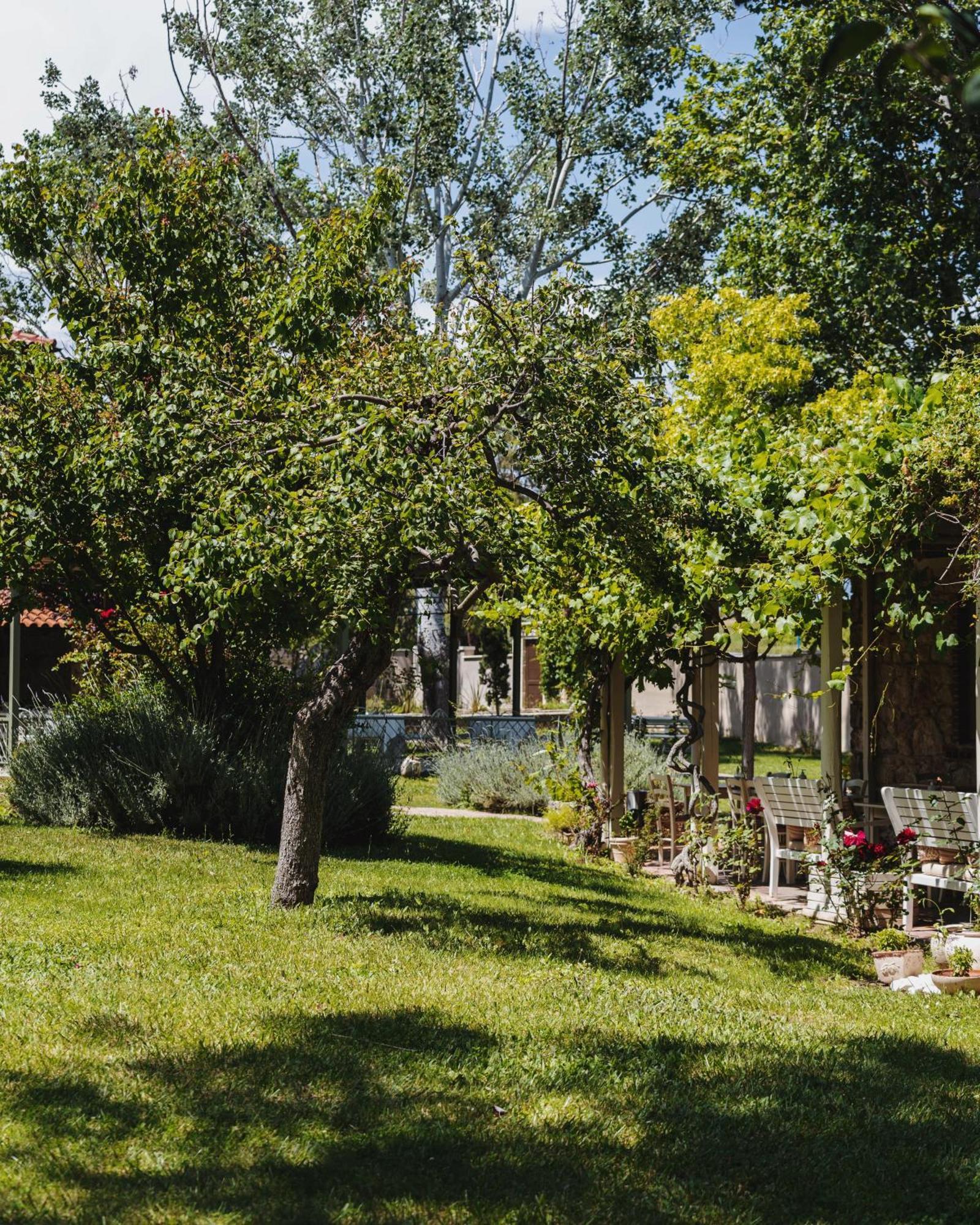 Petrino Eco Village Afytos Luaran gambar